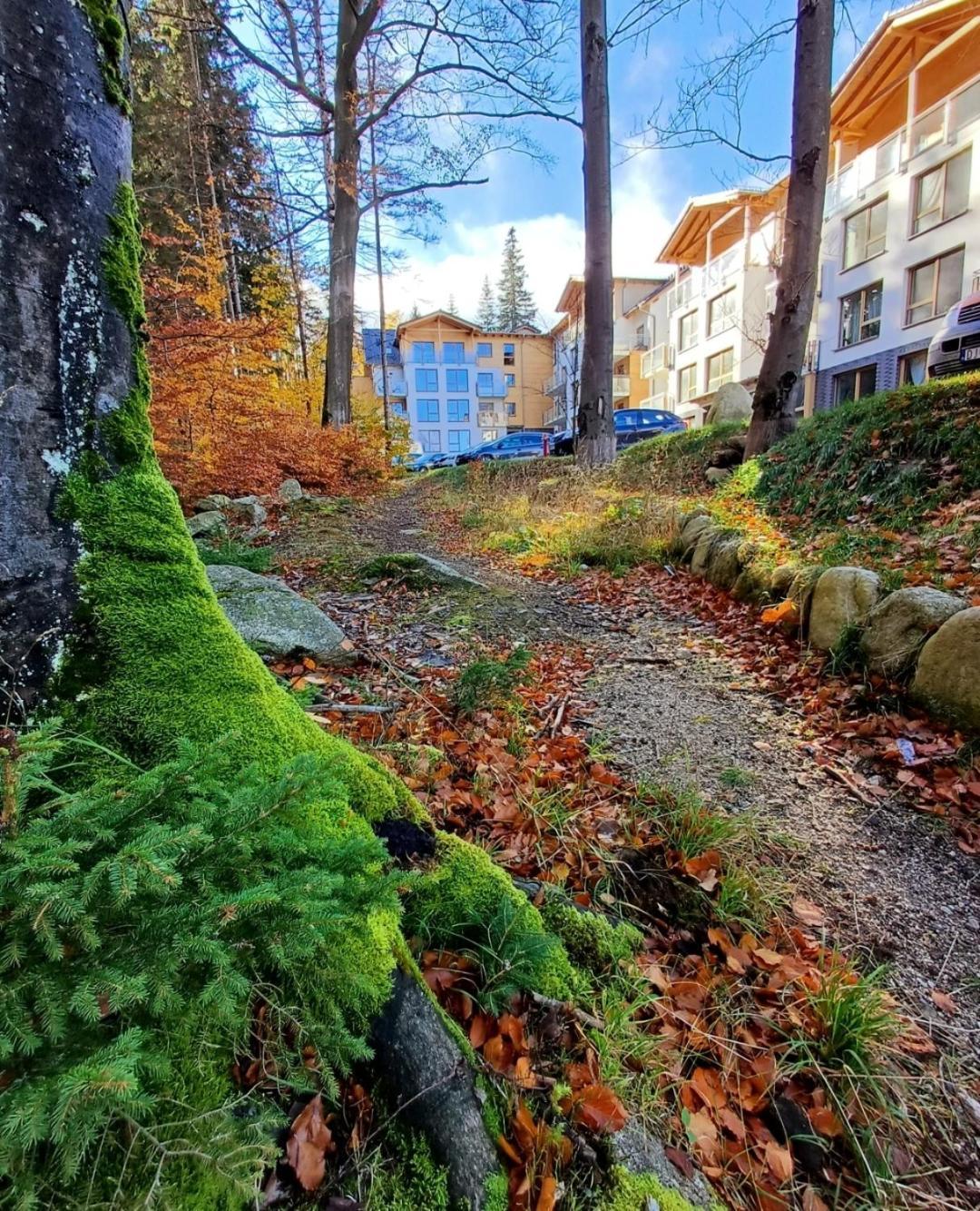 Kilinskiego 17a/9 Apartament *