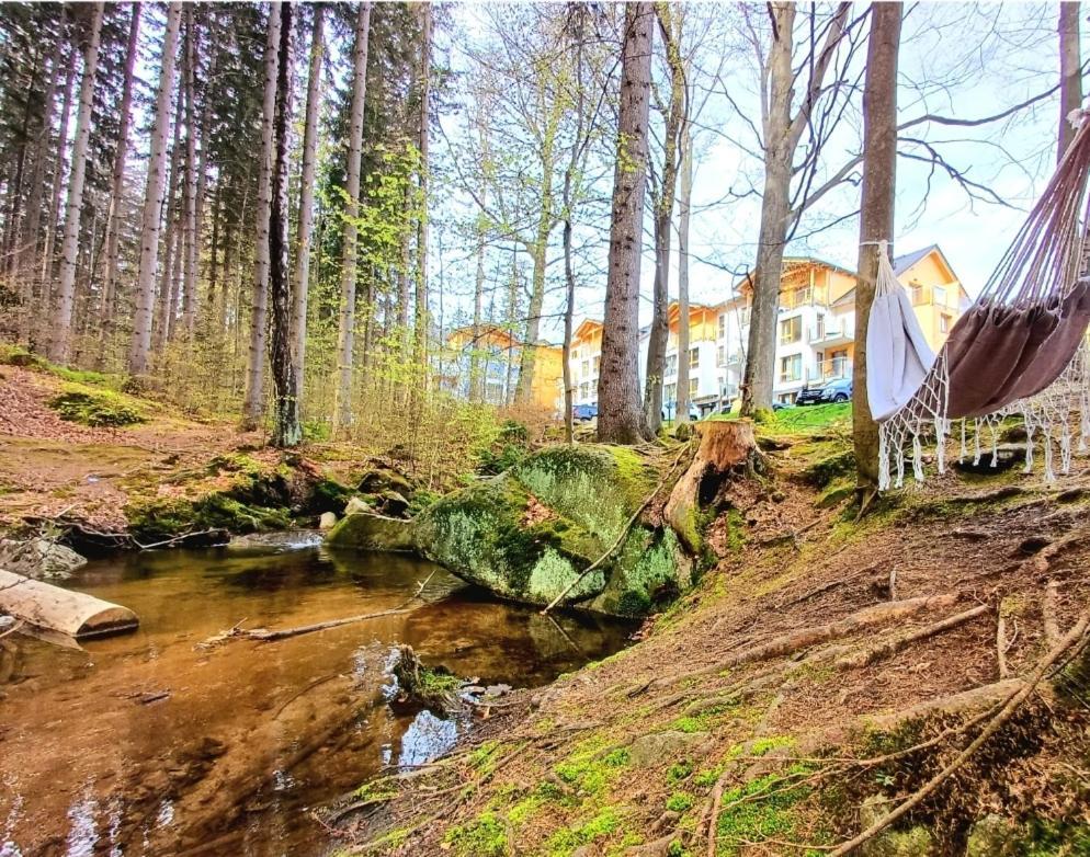 Kilinskiego 17a/9 Apartment *